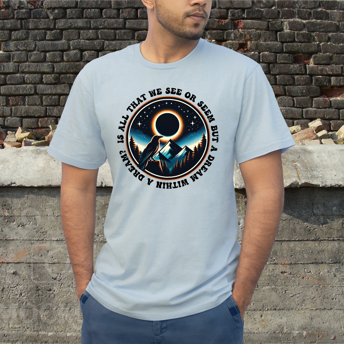 Raven Total Eclipse Shirt | Edgar Allan Poe Quote Shir | Unisex Light Blue T-shirt