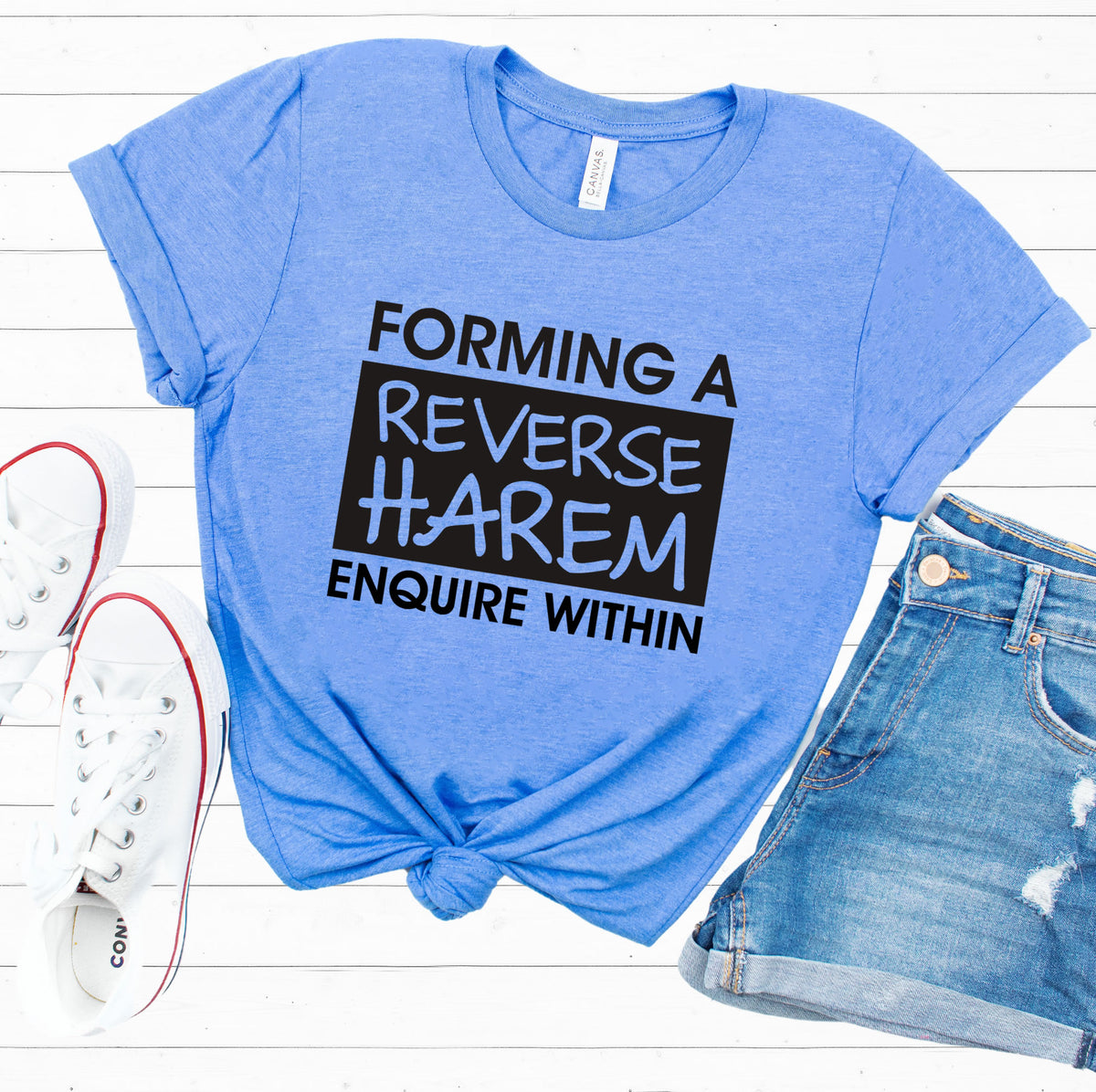 Reverse Harem Romance Book Reader Shirt  | Heather Columbia Blue T-shirt