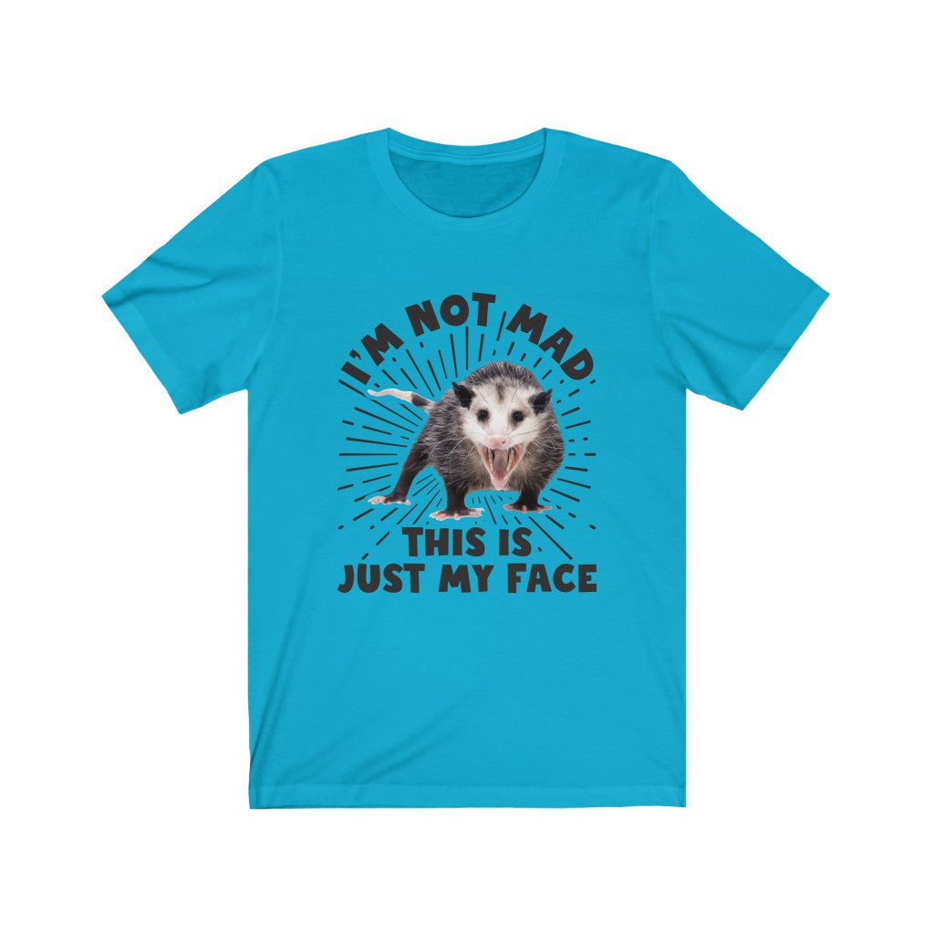 I'm Not Mad Funny Possum Shirt | Animal Lover Possum Gift | Bella Canvas Unisex Jersey T-shirt
